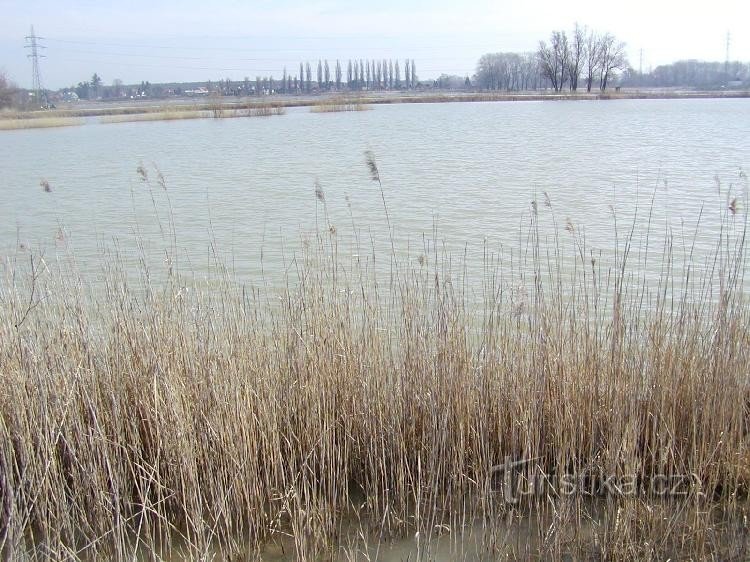 bac à sable