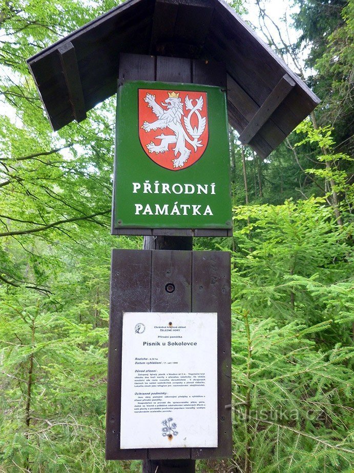 Pjesma u Sokolovki