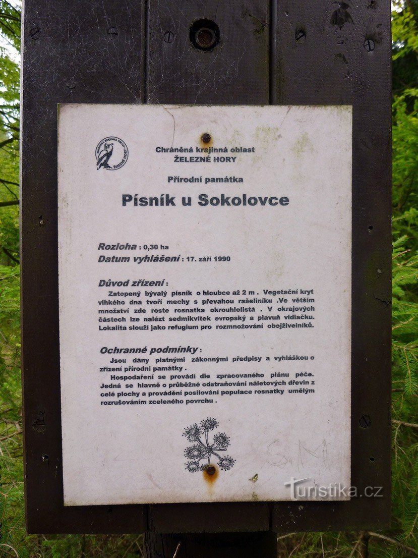 Laulu Sokolovkassa