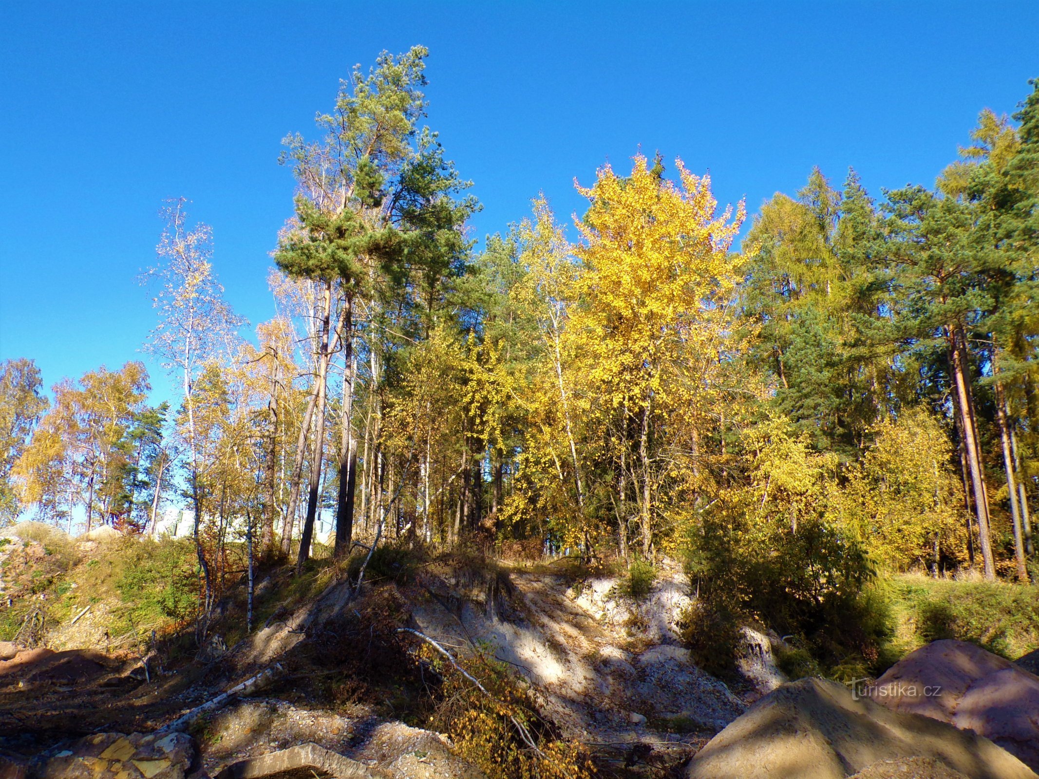 Песня в Бореке (Кржижанов, 28.10.2021)