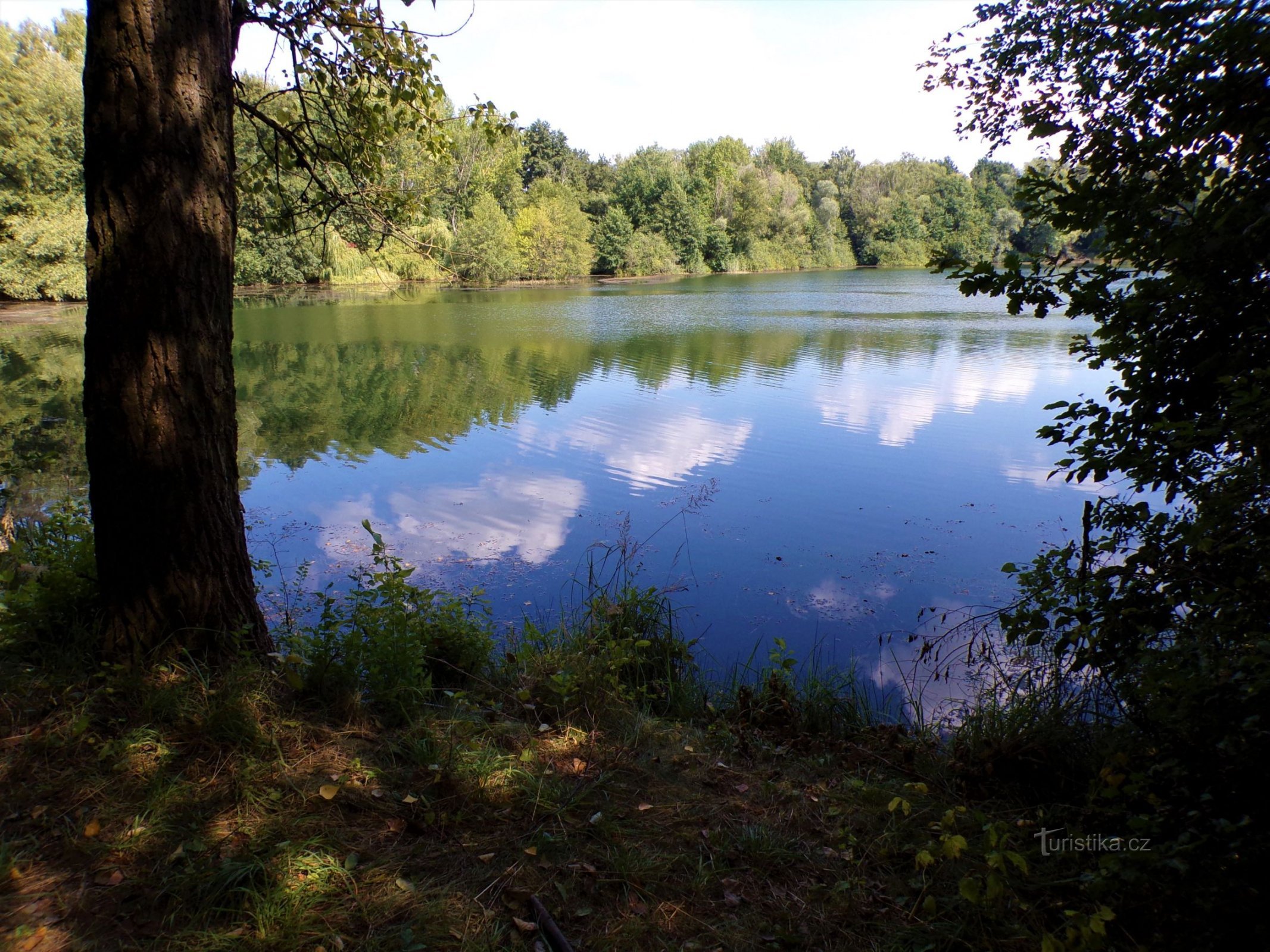 Sång bakom kraftverket (Opatovice nad Labem, 5.9.2021/XNUMX/XNUMX)