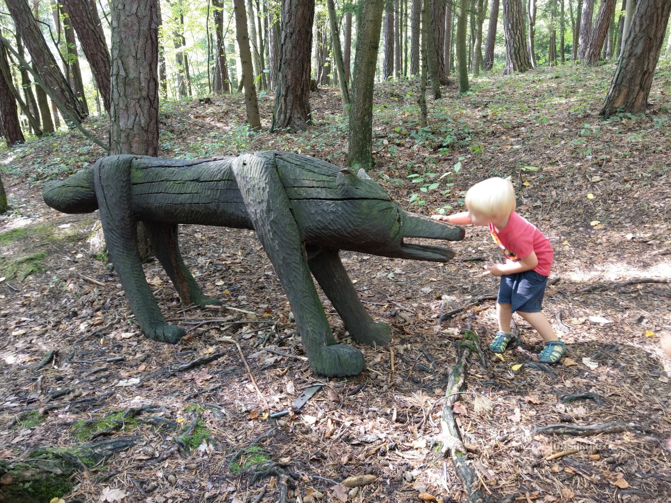 Pivečk Forest Park Slavičín