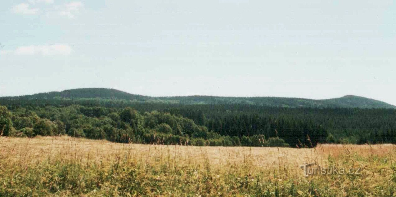 Montagne di peonia