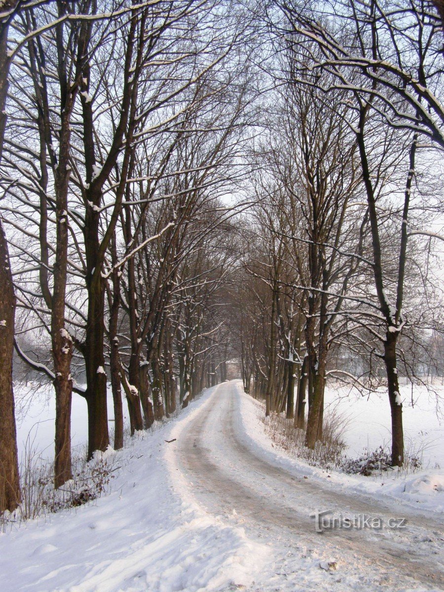 Pivovarská flošna - pristupna cesta