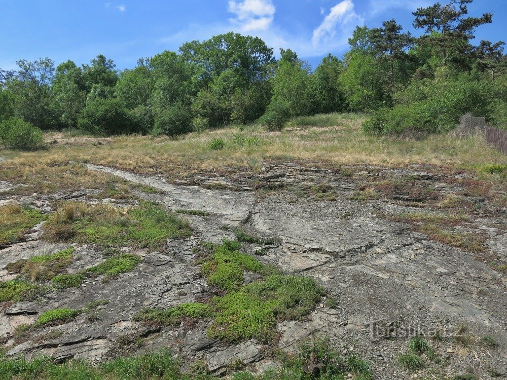 Ploščata skala