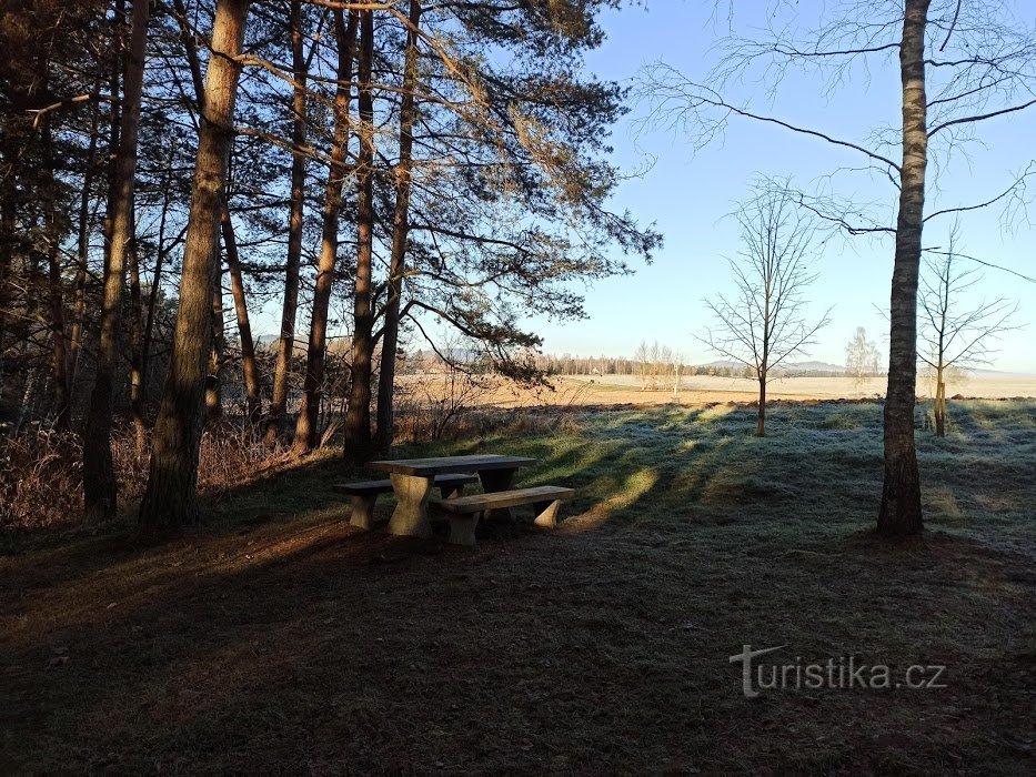 a small area with benches right next to the monument