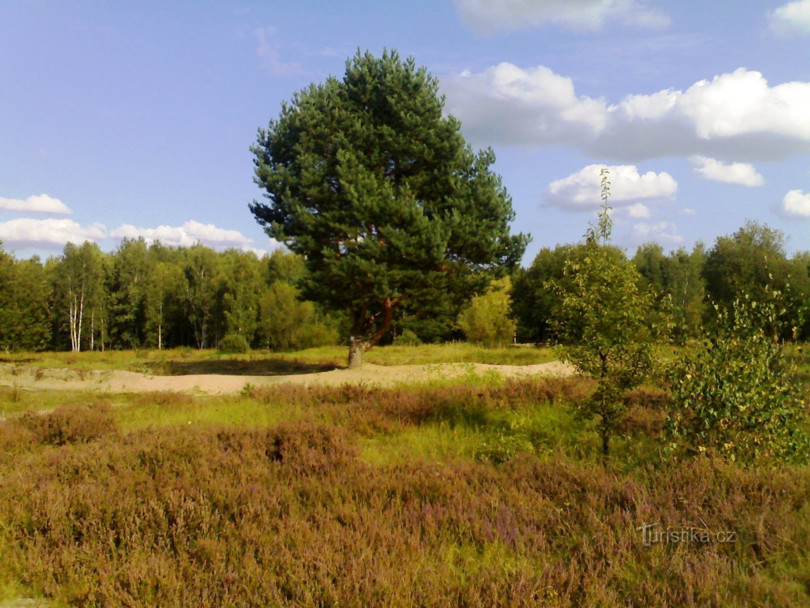 Парус - В парусе