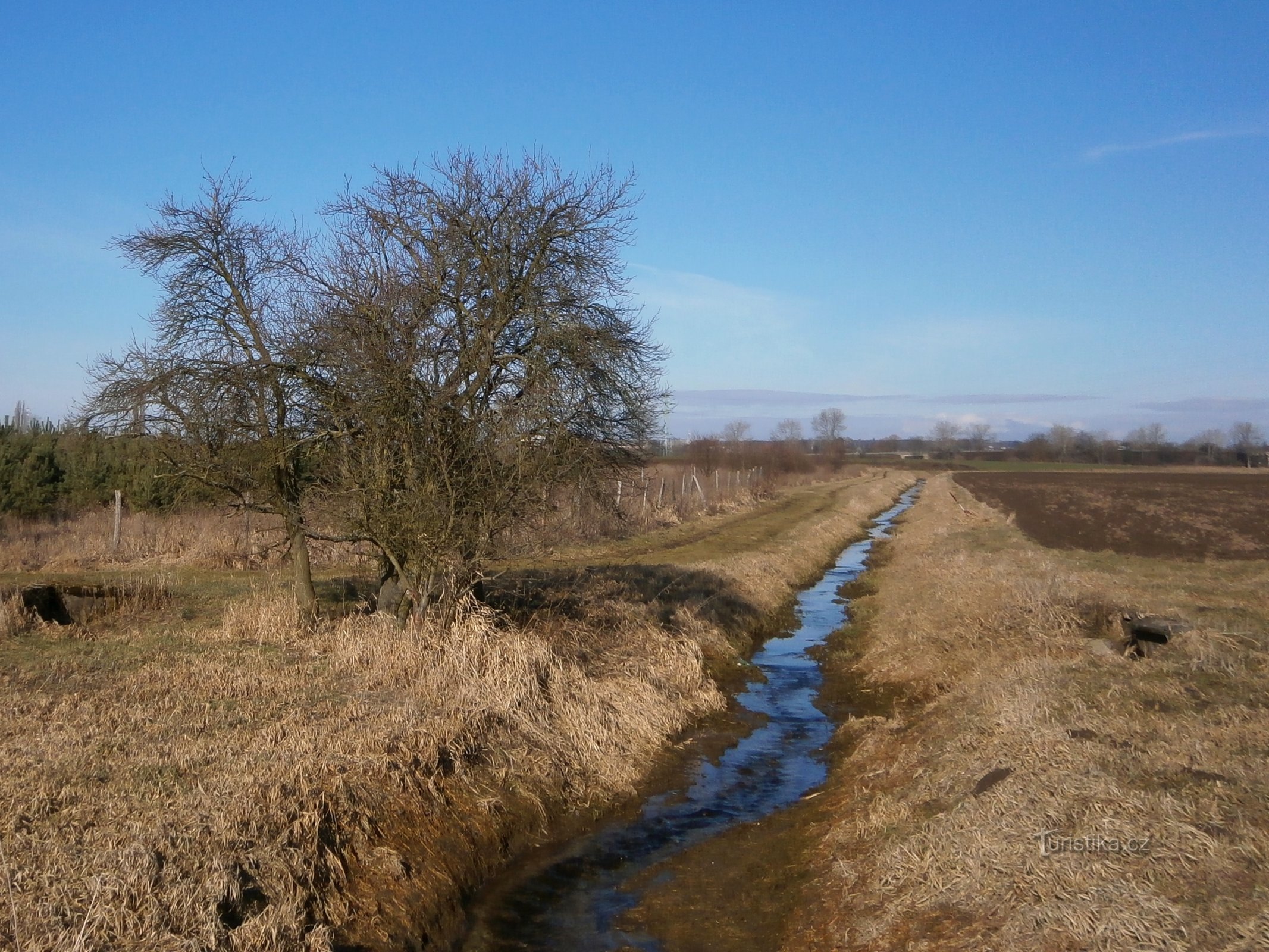 Torrente Plačický davanti a Březhrad (Plačice)