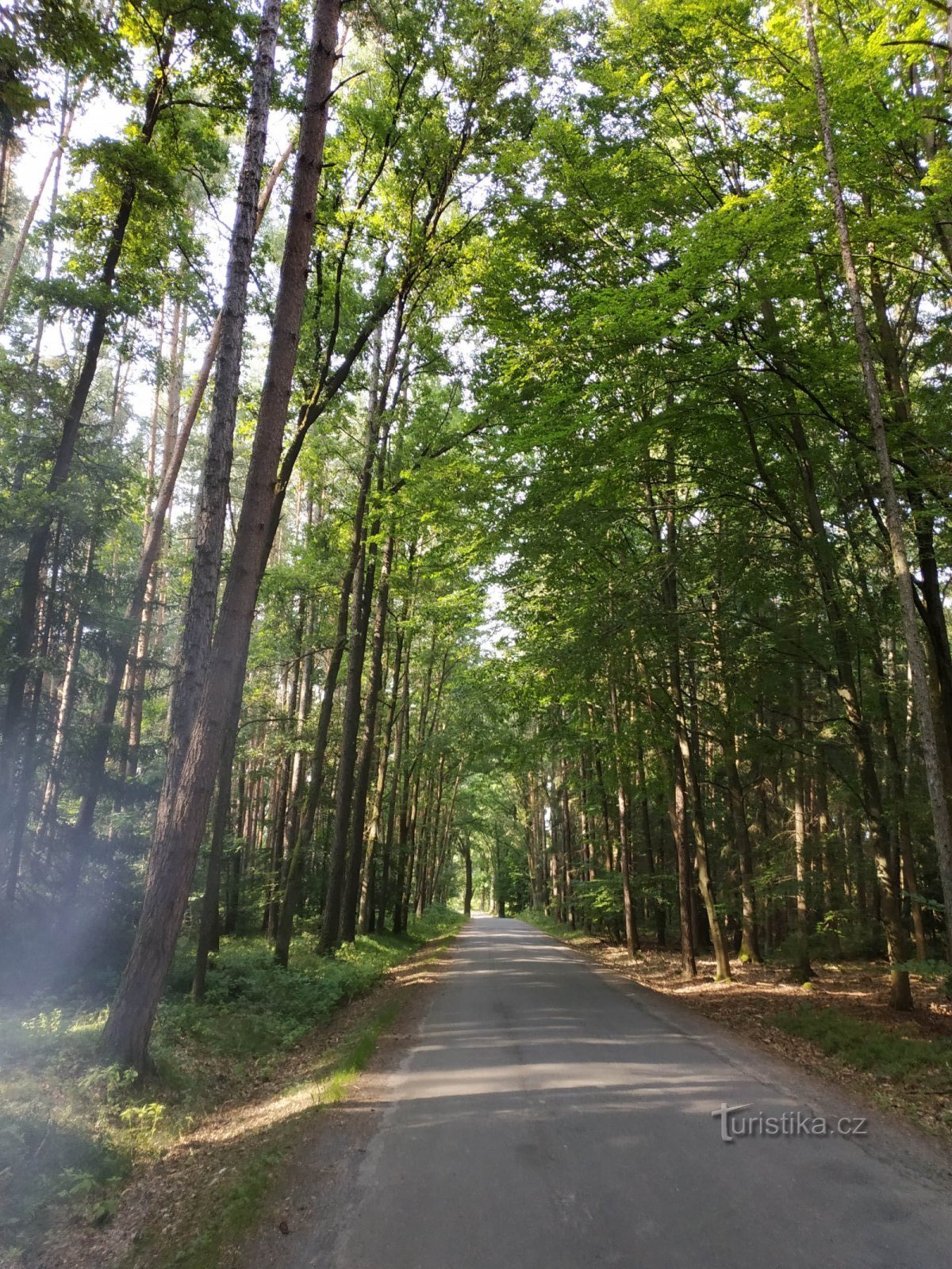 Planá nad Lužnicí - Tabor