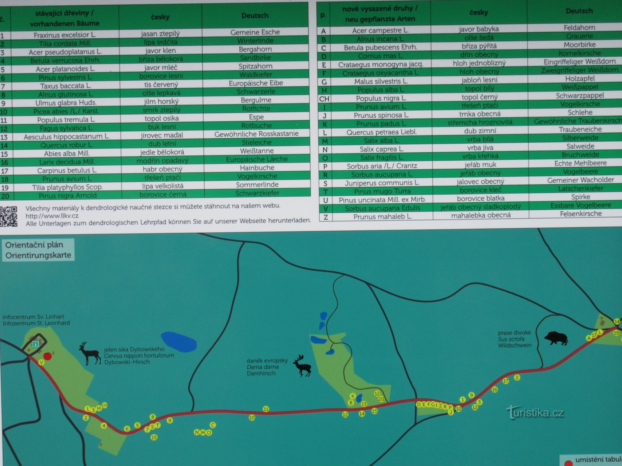 Plan du sentier dendrologique