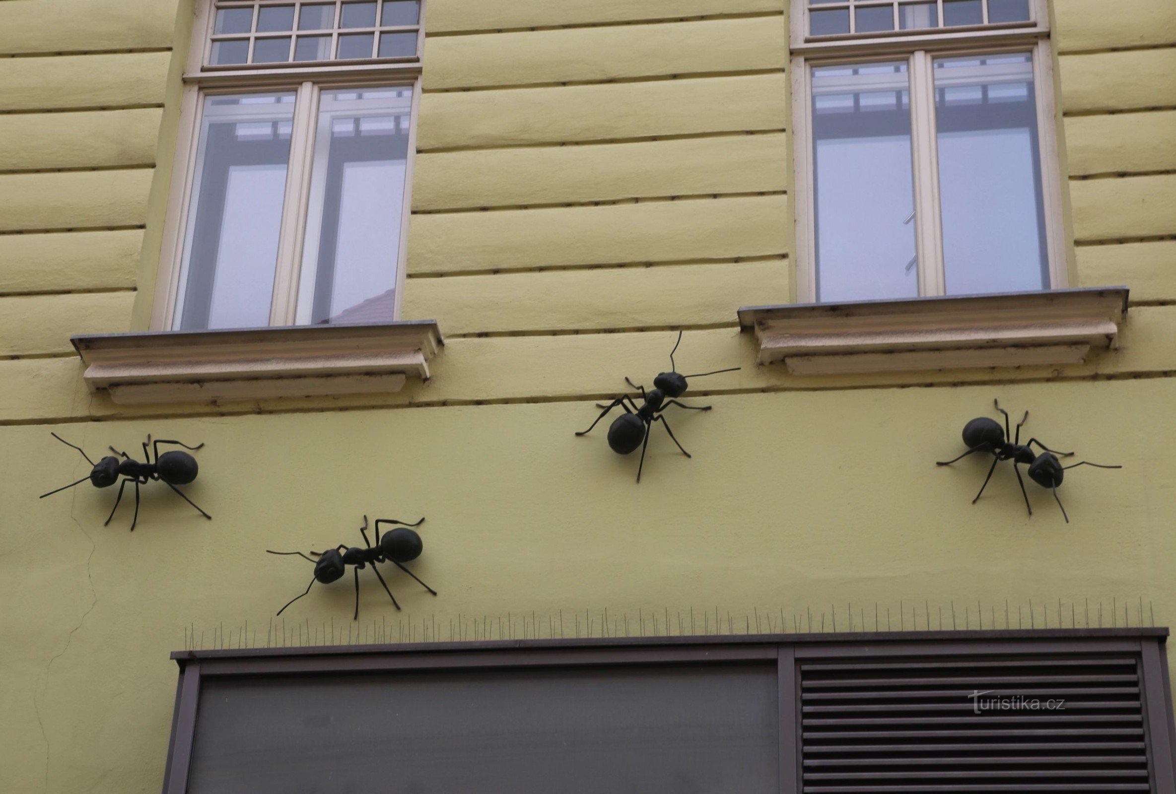 Sculture di formiche sulla facciata
