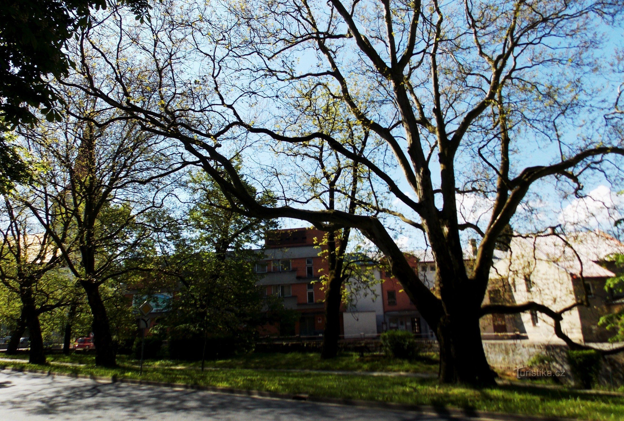 Ruelle Platanová à Bystřice pod Hostýnem