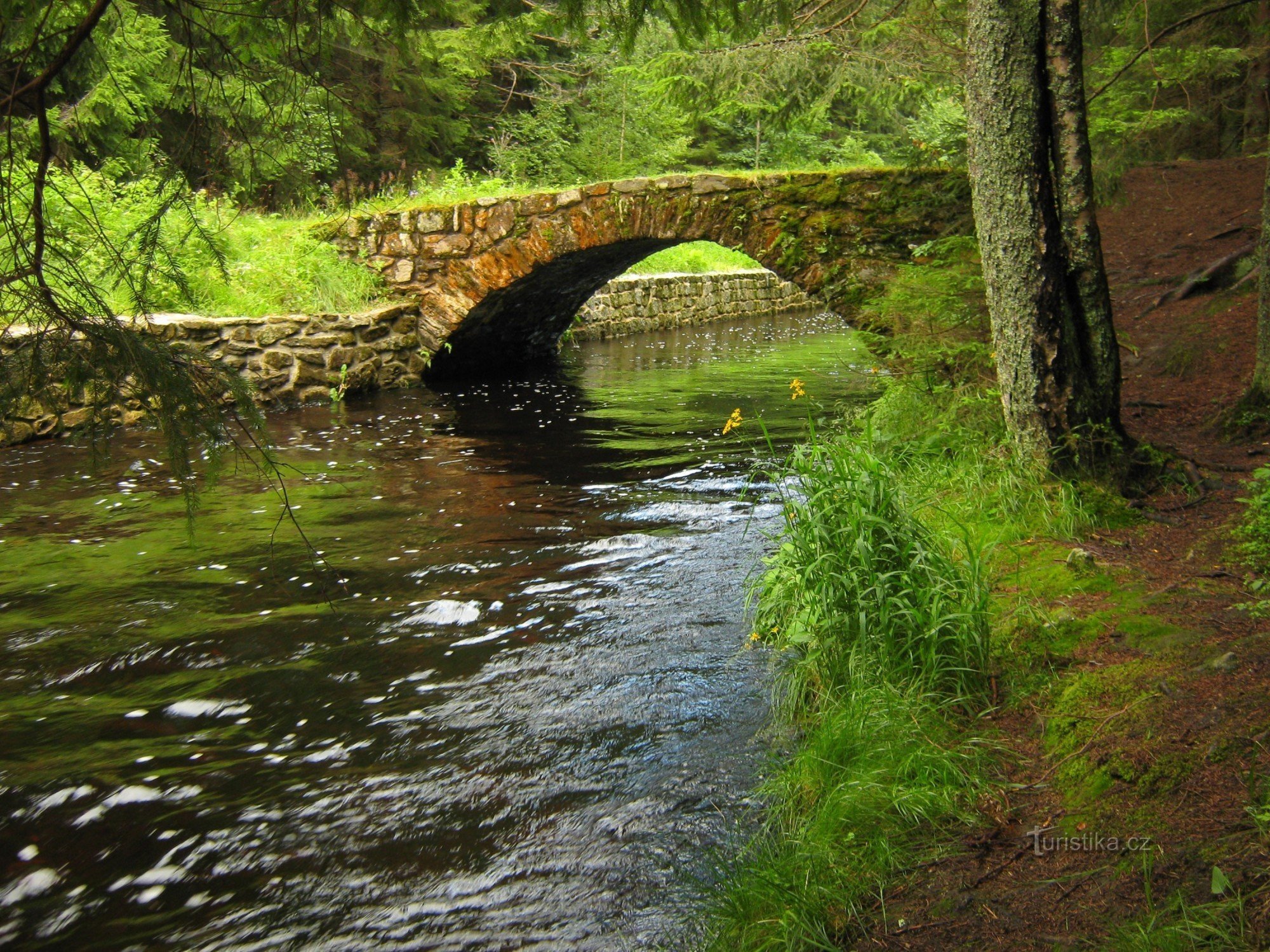 Canal de navegación