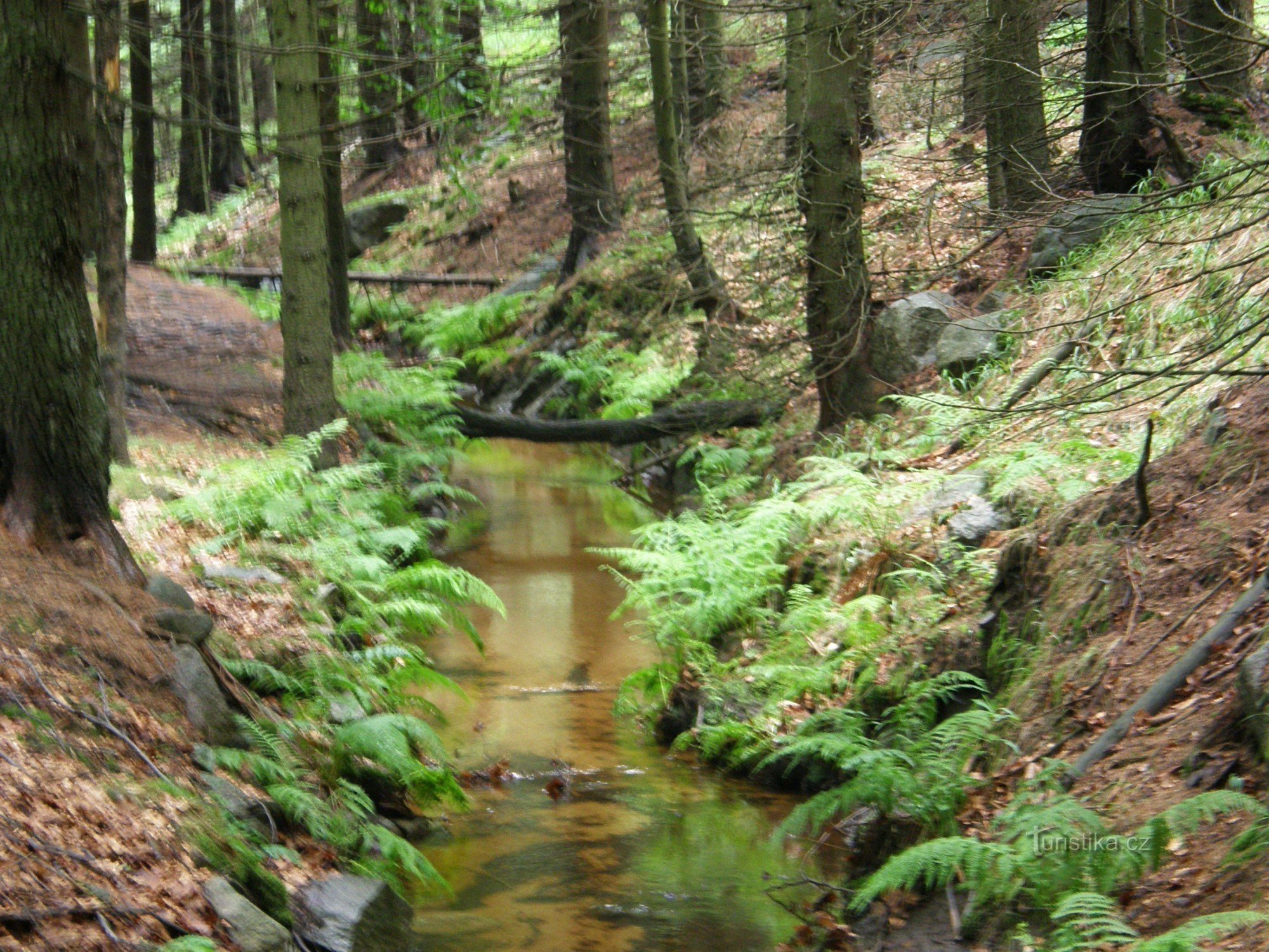 navigacijski kanal