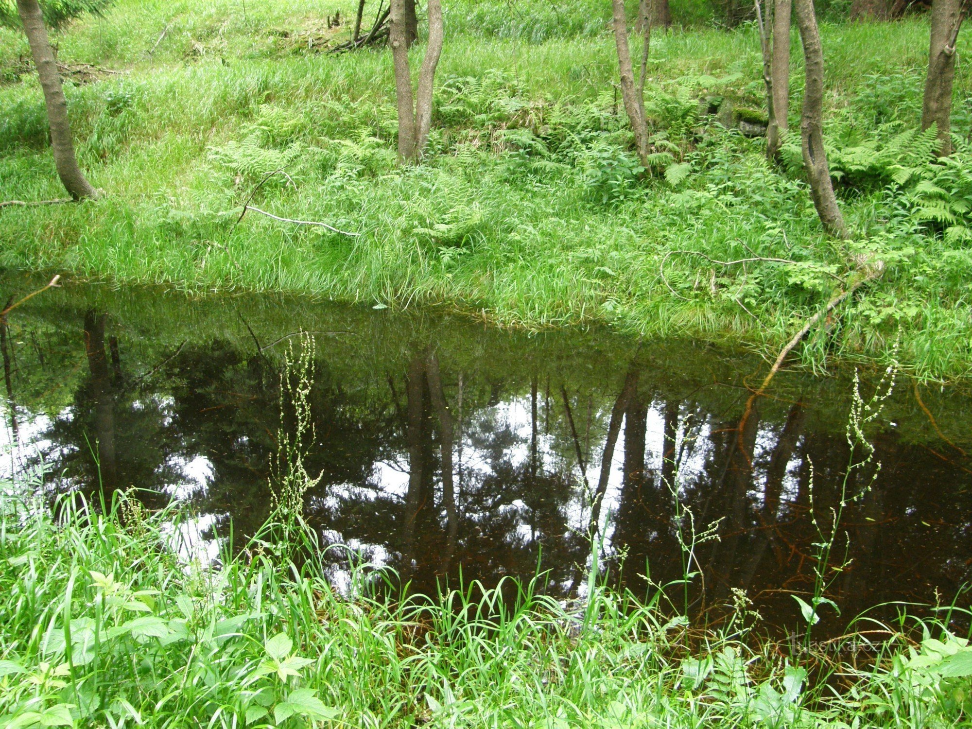 navigacijski kanal