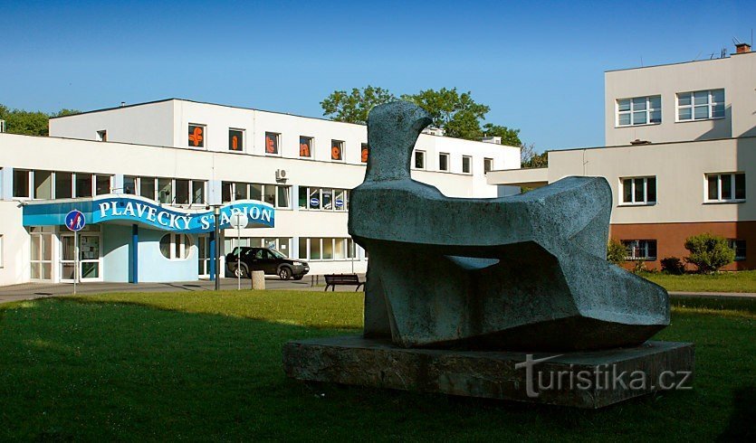 Estádio de natação České Budějovice