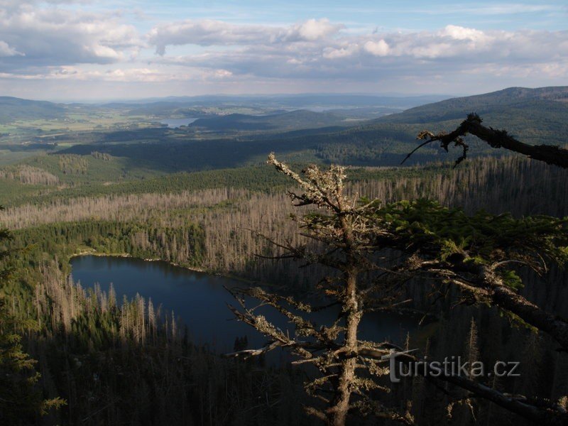 Plešné jezero