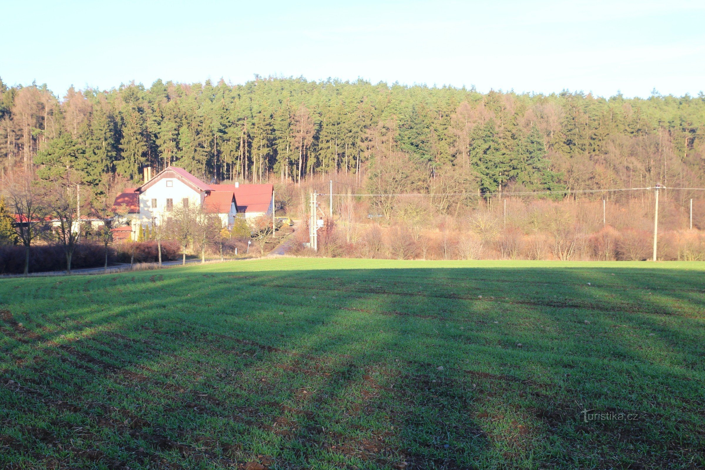 Der flache Hügel Hlásnica bei Horákovská myslivna