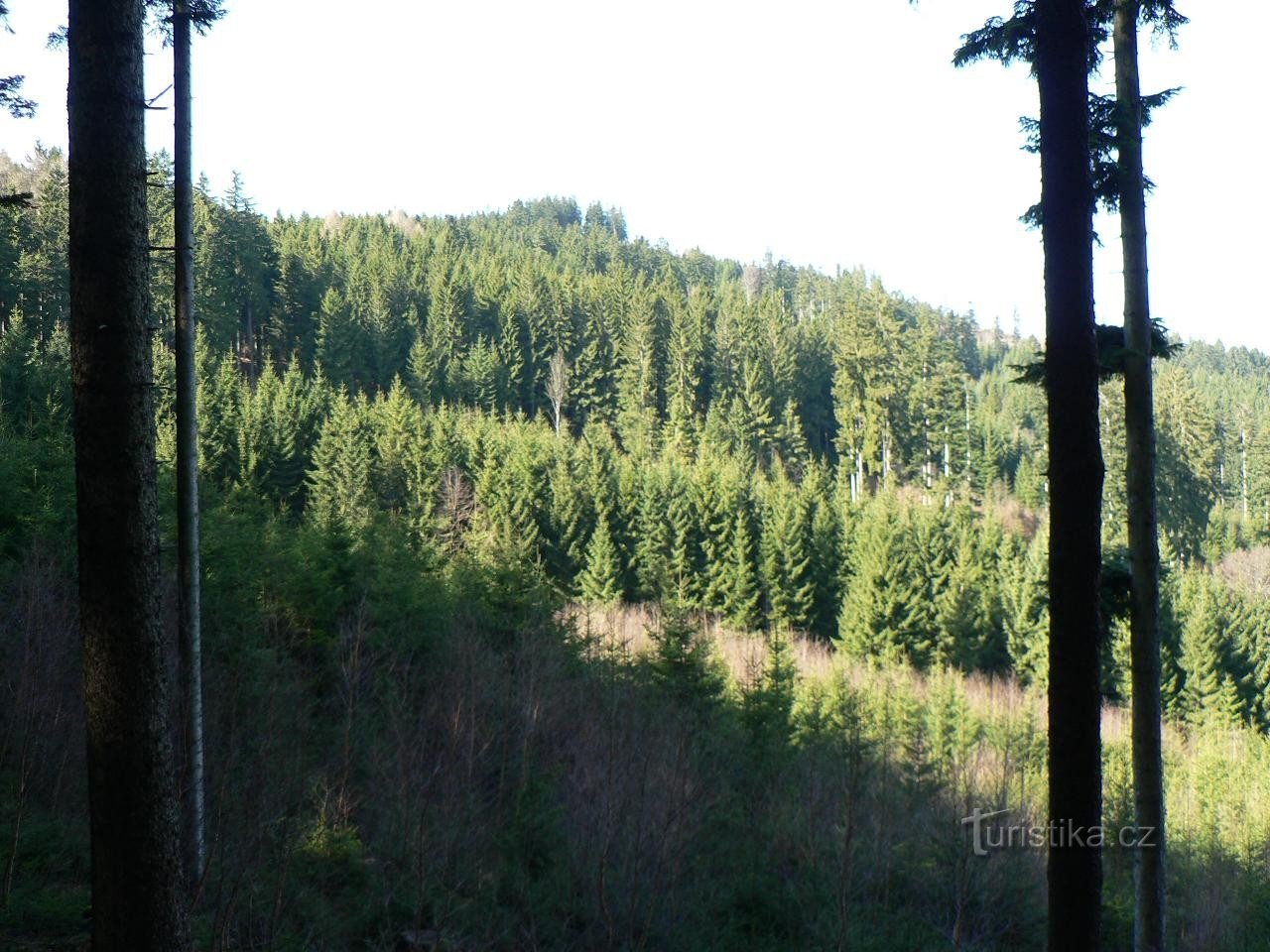 Plateau, northern peak