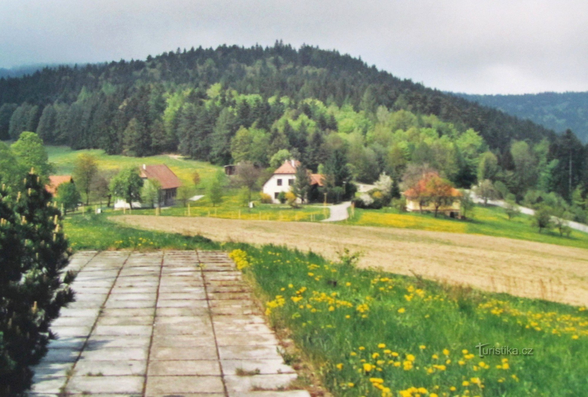 Platform