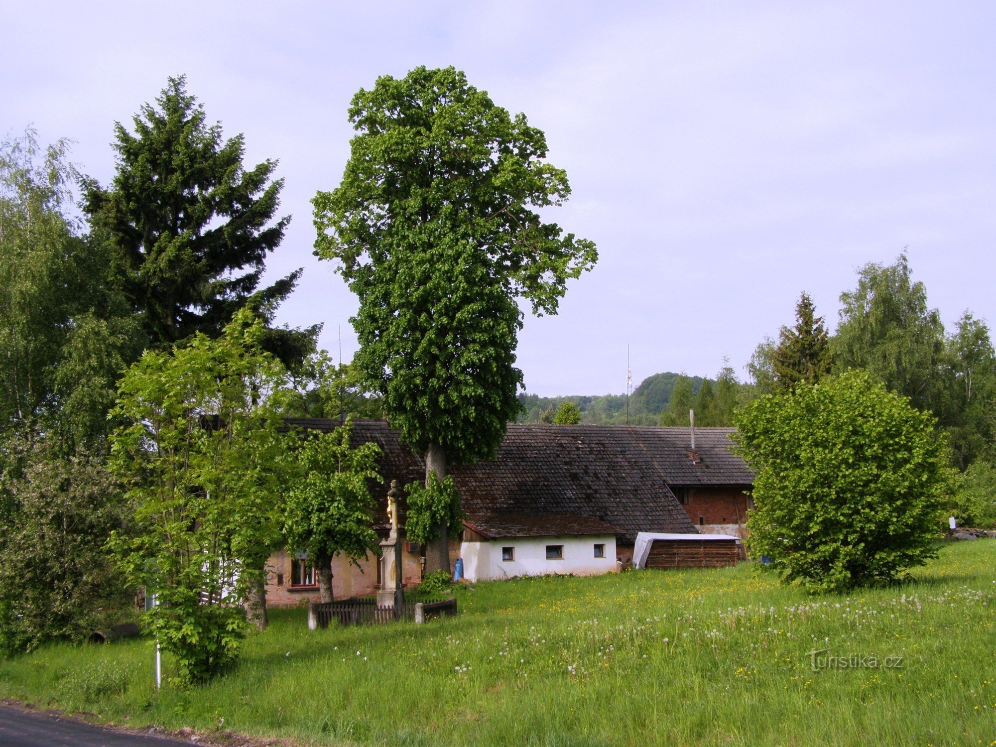 Pløjemaskine