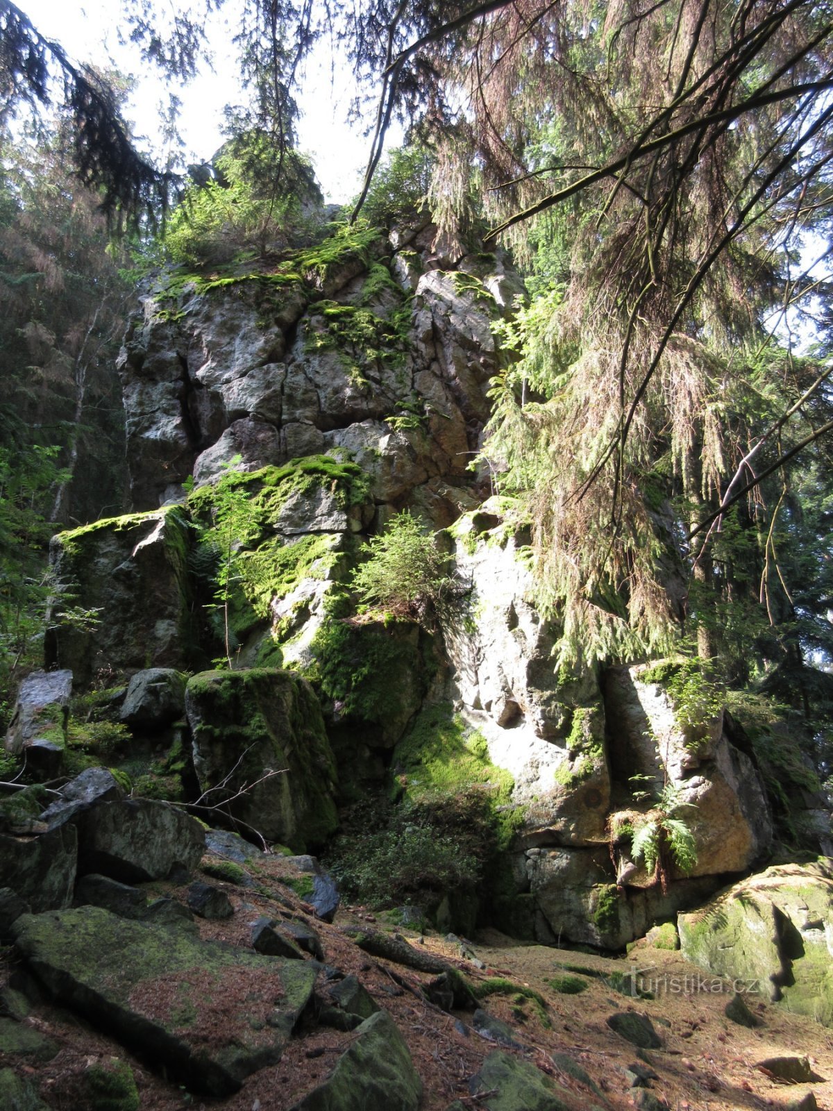 比尔森地区 - 从 Svojkovice 到 Žďár 顶部 (629 m)