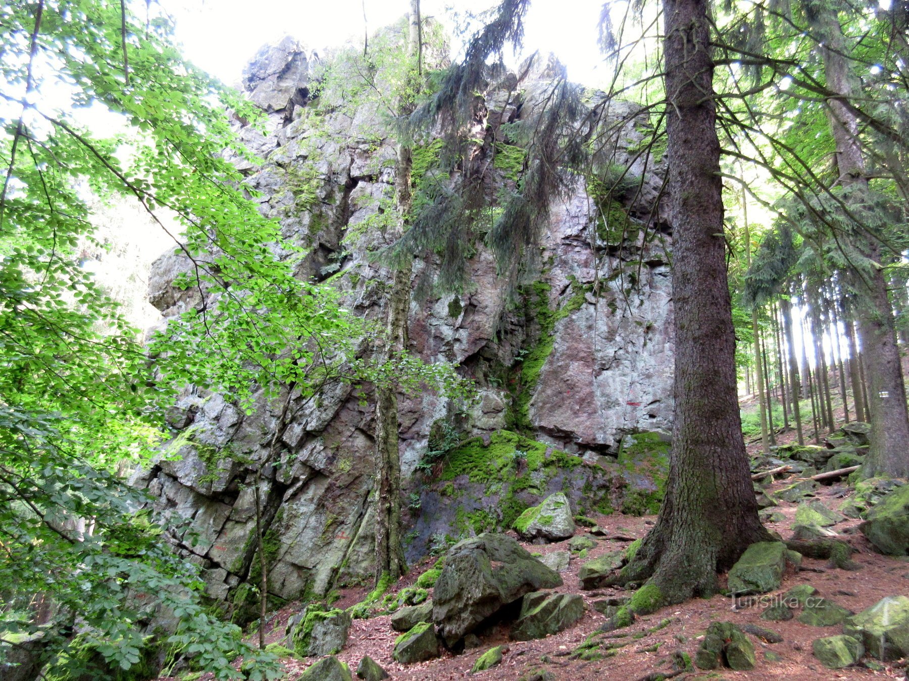 Пльзеньський край - від Svojkovice до вершини Ždár (629 м)