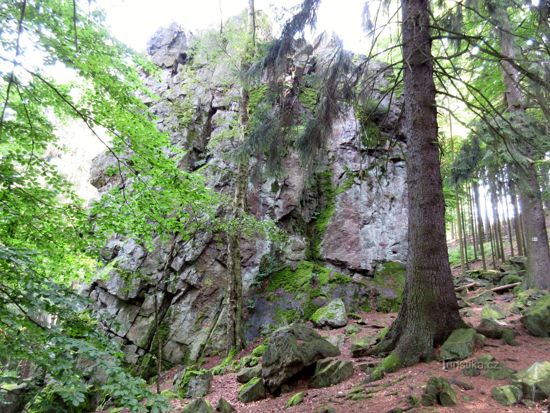 Region Pilsen - von Svojkovice bis zum Gipfel von Žďár (629 m)