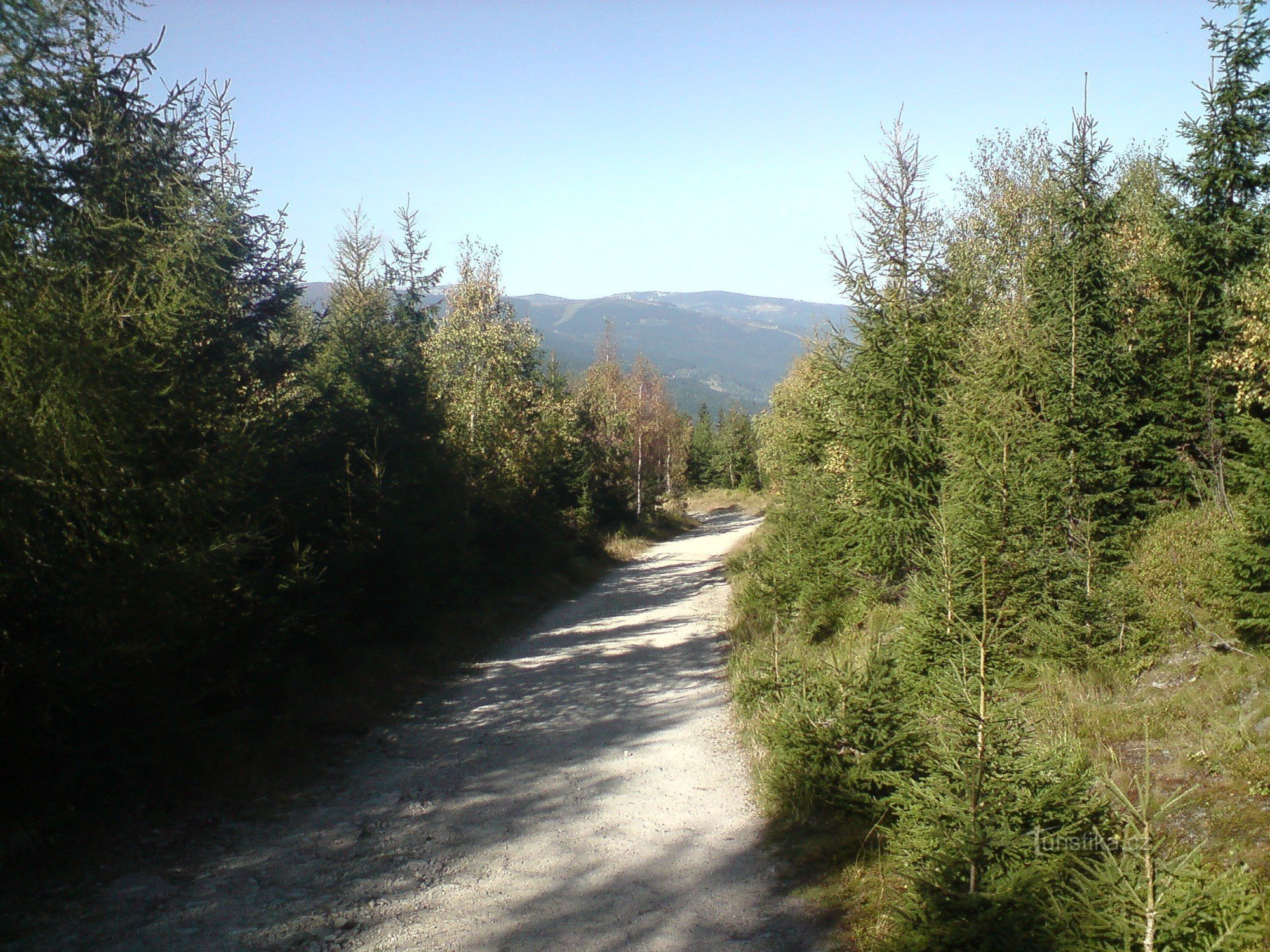 punaisen jälkeen Žalýlle