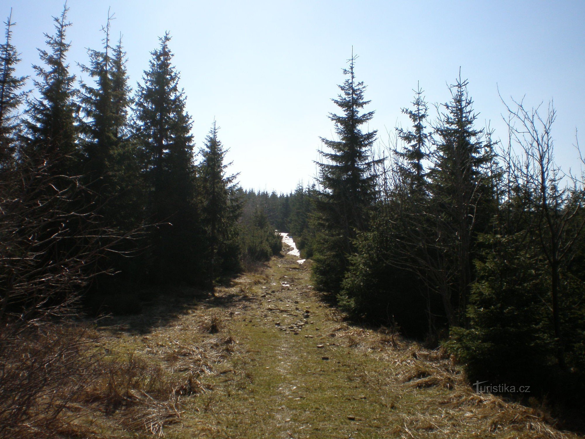 Wzdłuż granicy czesko-polskiej II - 28,5 km