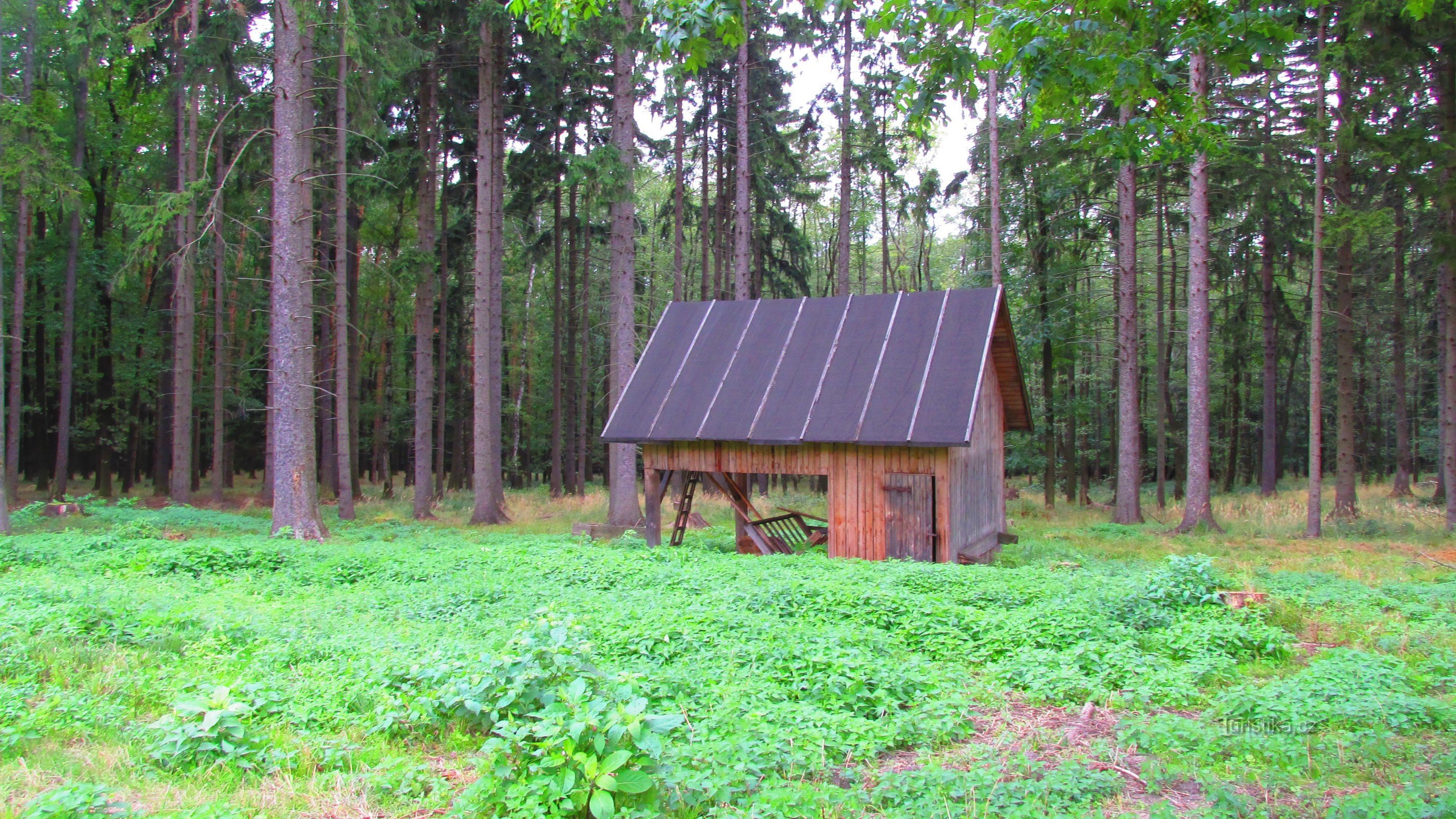 matkan varrella on piilopaikka