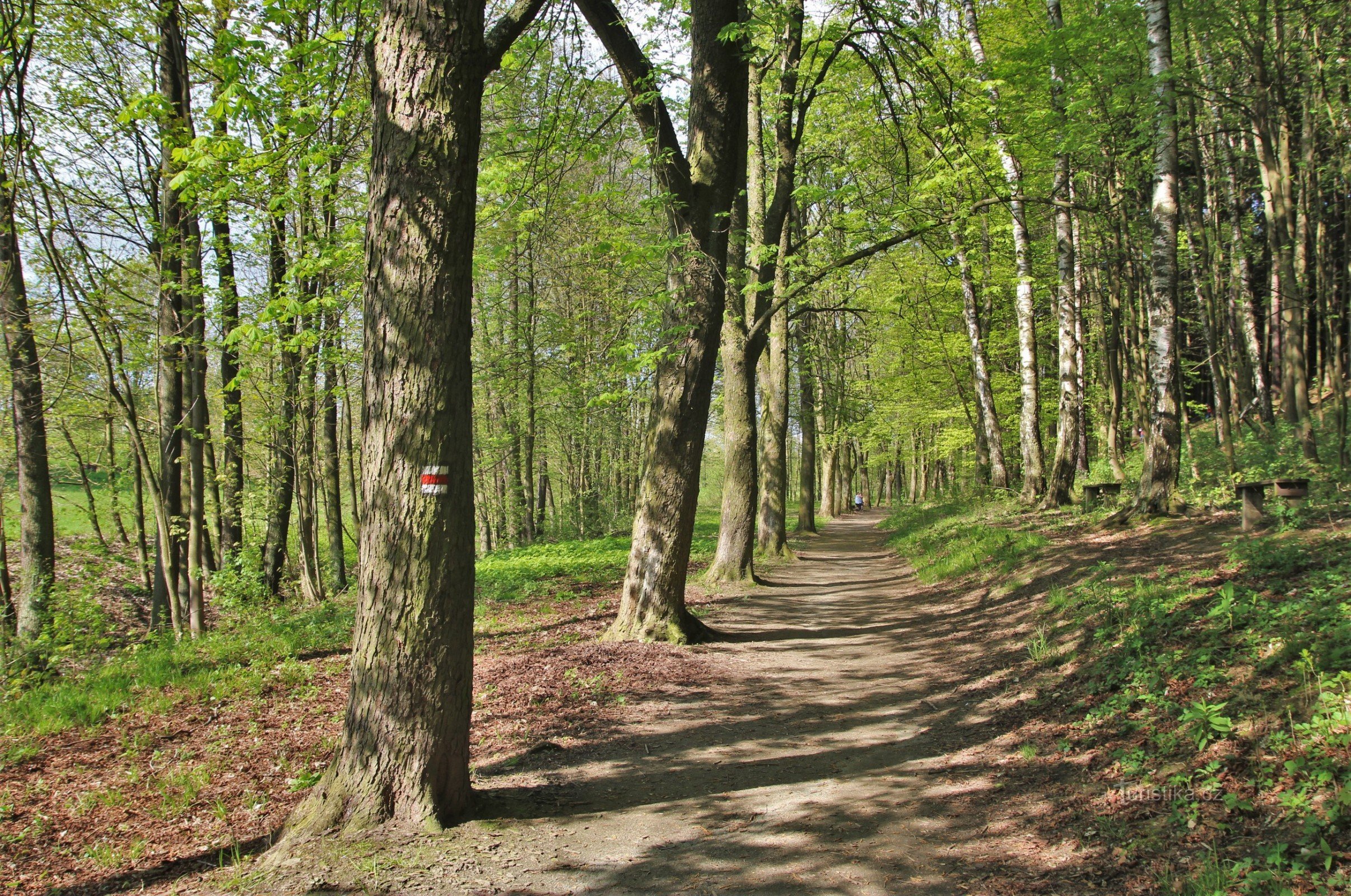 Po dolní cestě vede červeně značená turistická cesta