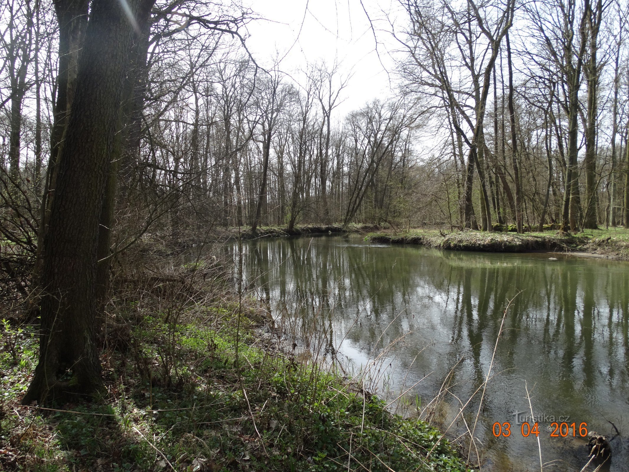 Langs de linkeroever van de Mlýnské-beek