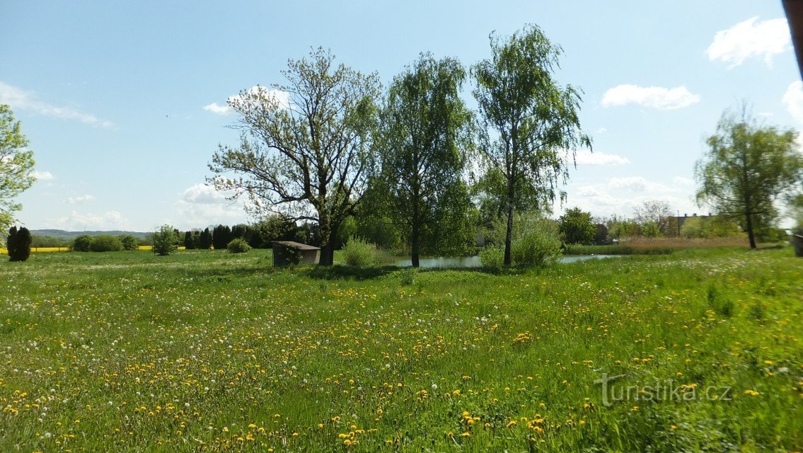 not even a trace of the local horticulture remains