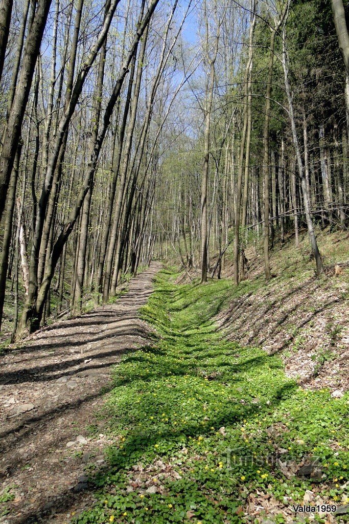 après la marque bleue KČT