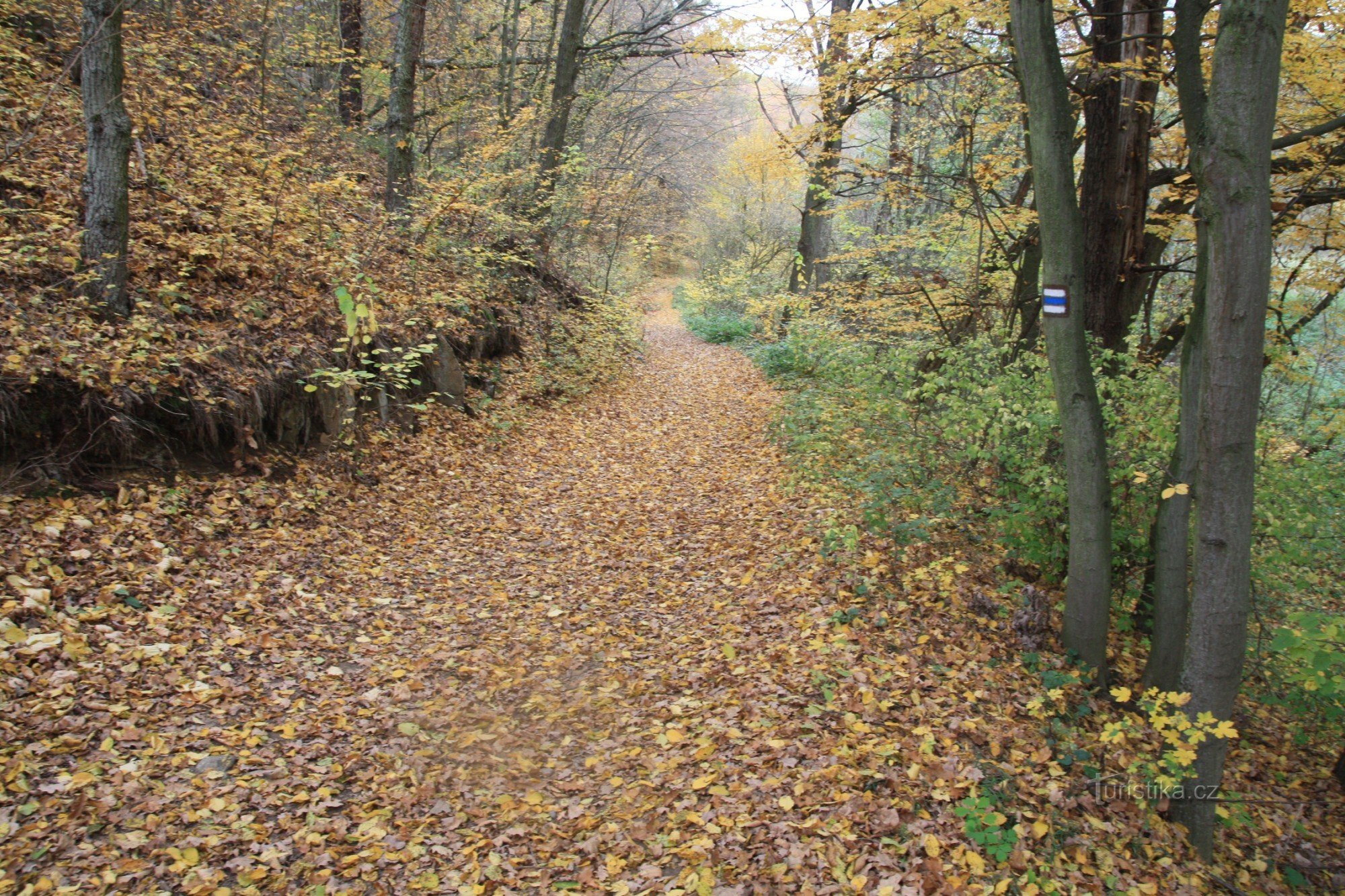 Folgen Sie der blauen Markierung durch das Bobrava-Tal