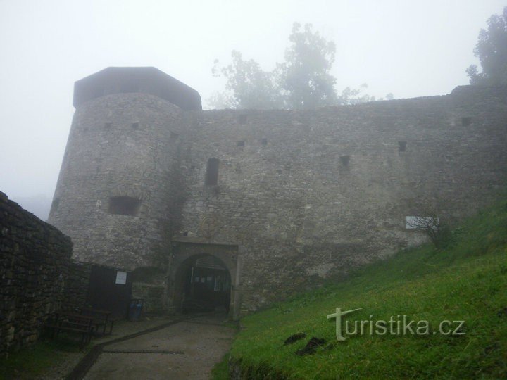 Sur les traces du renard Bystrouska