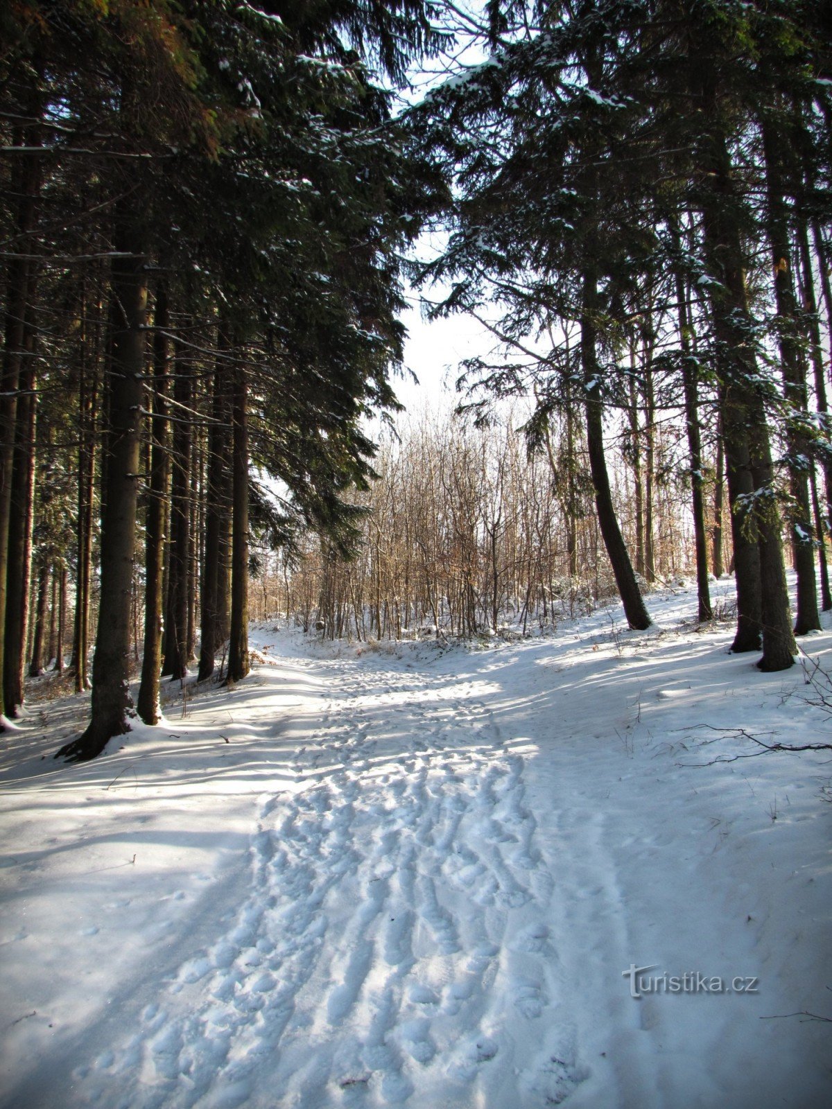 le long de la crête enneigée en direction de Vartovna