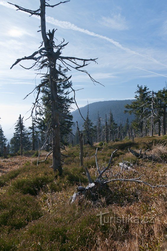 Volg de groene markering vanaf het zadel onder Vřesovka