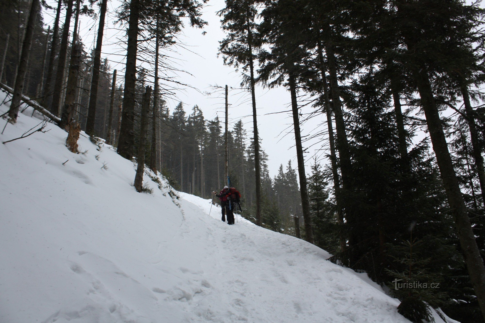 suivre le panneau vert en direction de Růžohorky