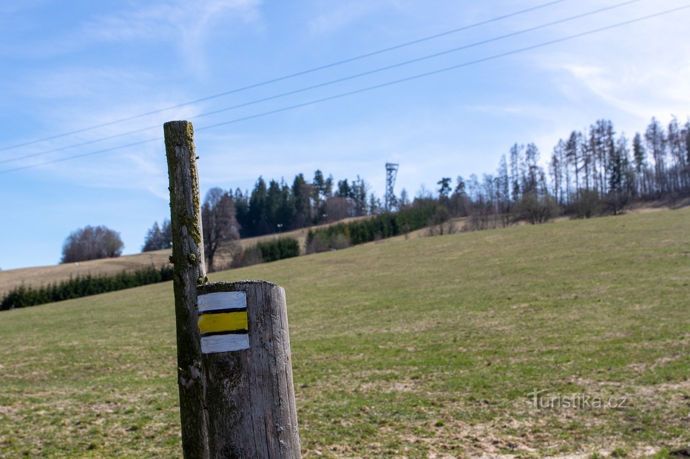 Après le TZ jaune