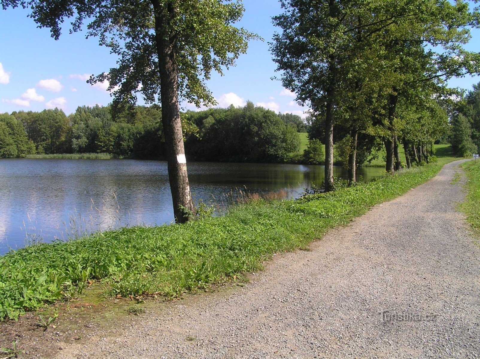沿着池塘周围的 Štíte 的黄色小路前往 Horní Studenék。