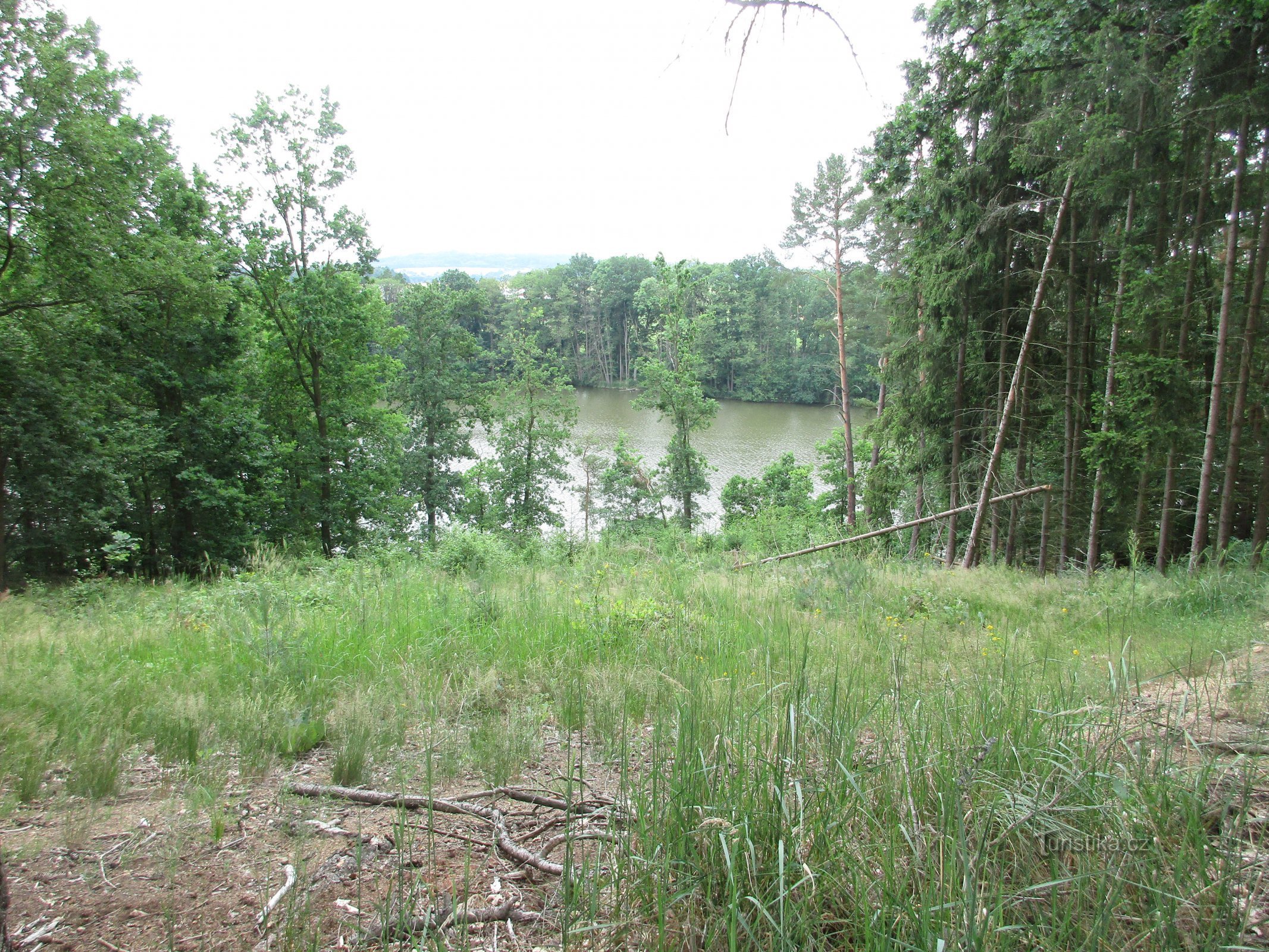 Počapelsky dam