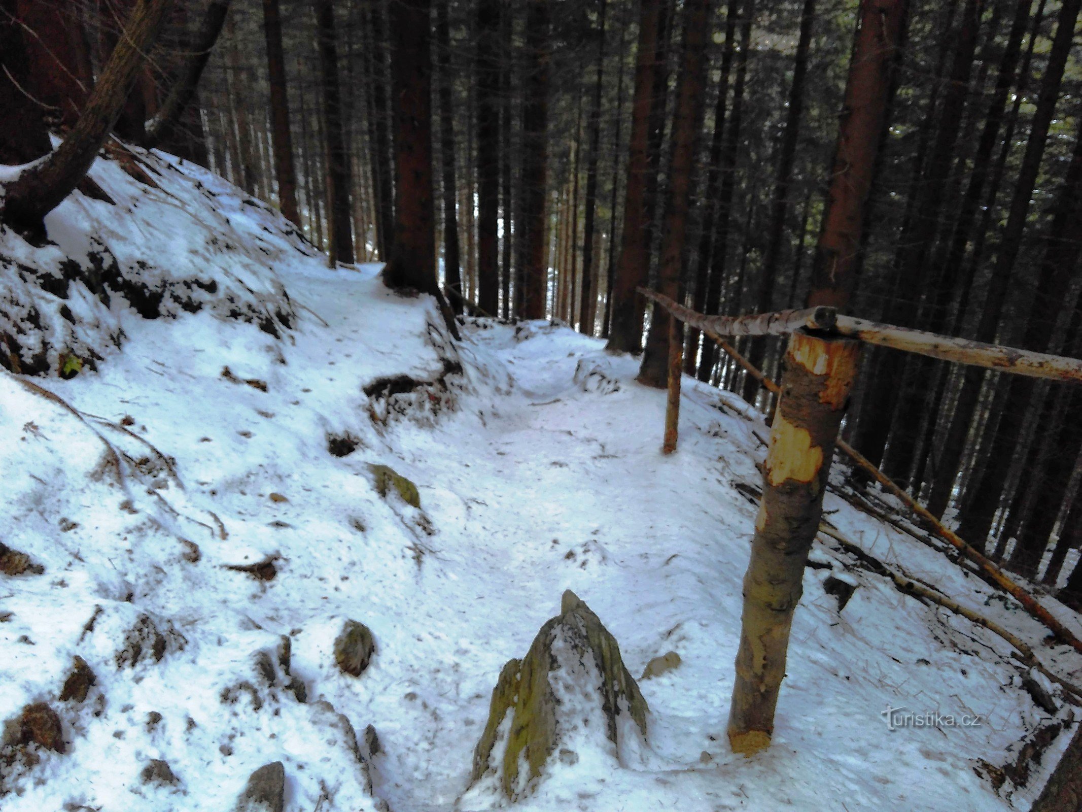 zunächst steiler Anstieg