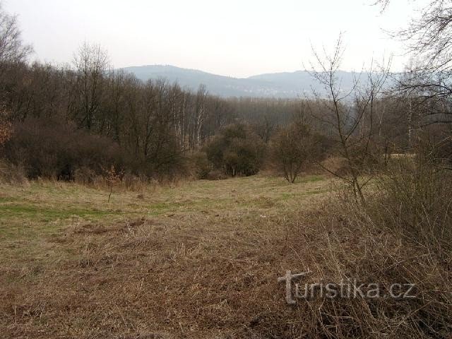 Počerny 1 : Deux emplacements de rochers d'un lit de quartzite dispersé de l'Olig