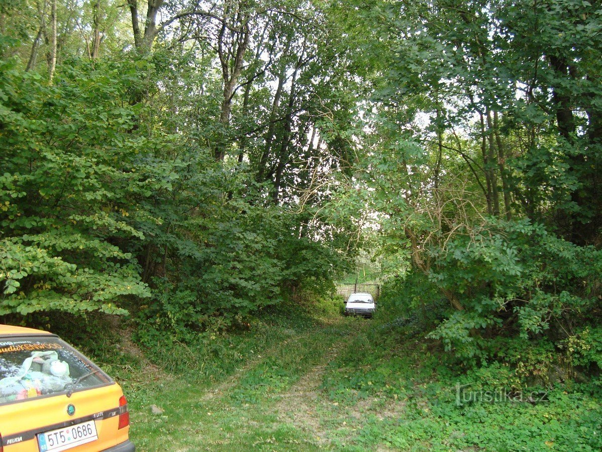 Pocheň-Vartnov castle-former moat-Photo: Ulrych Mir.