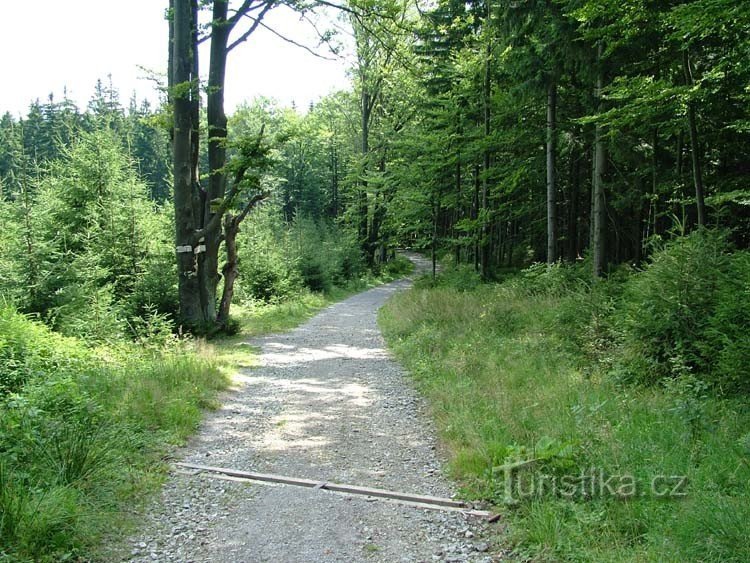 Under Babí vrch