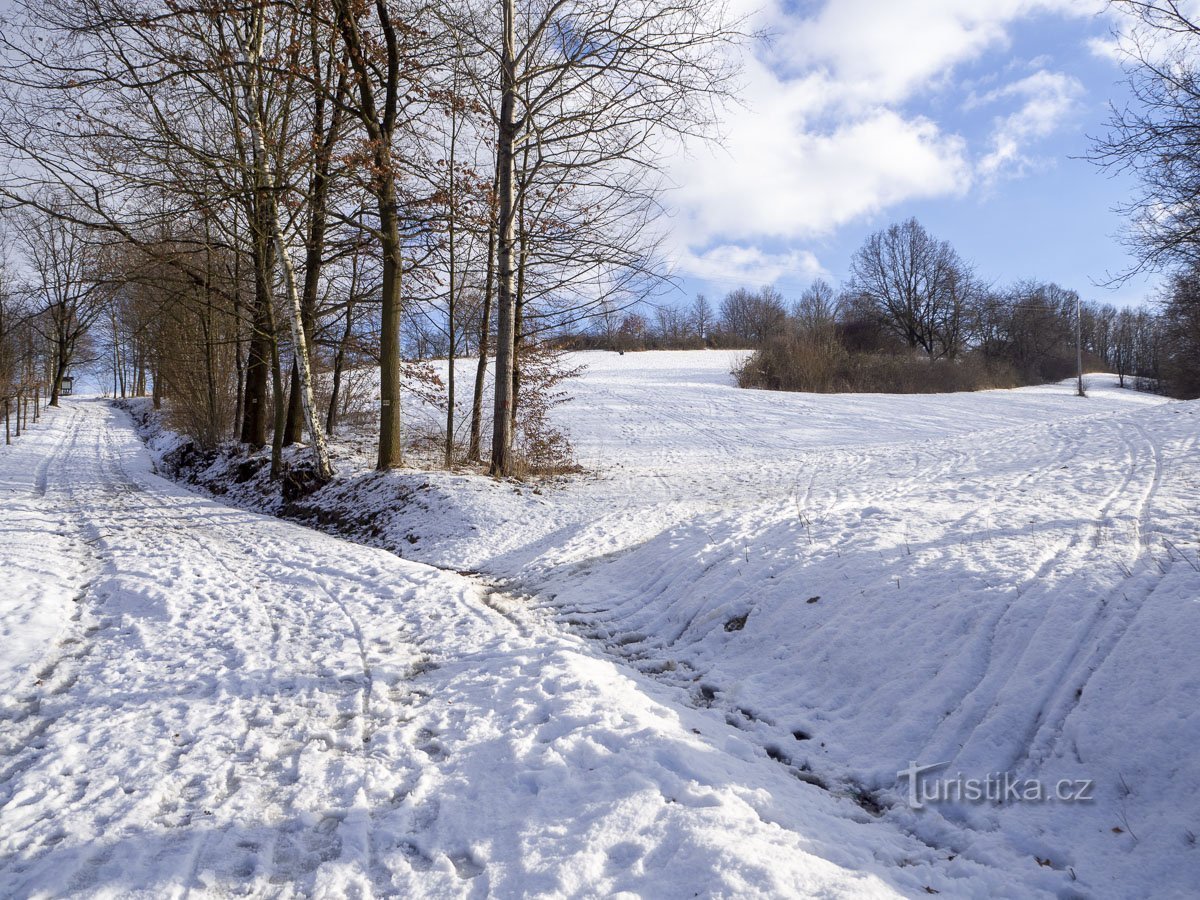 Pod Brusnou jsem kdysi jako hošík taky sáňkoval
