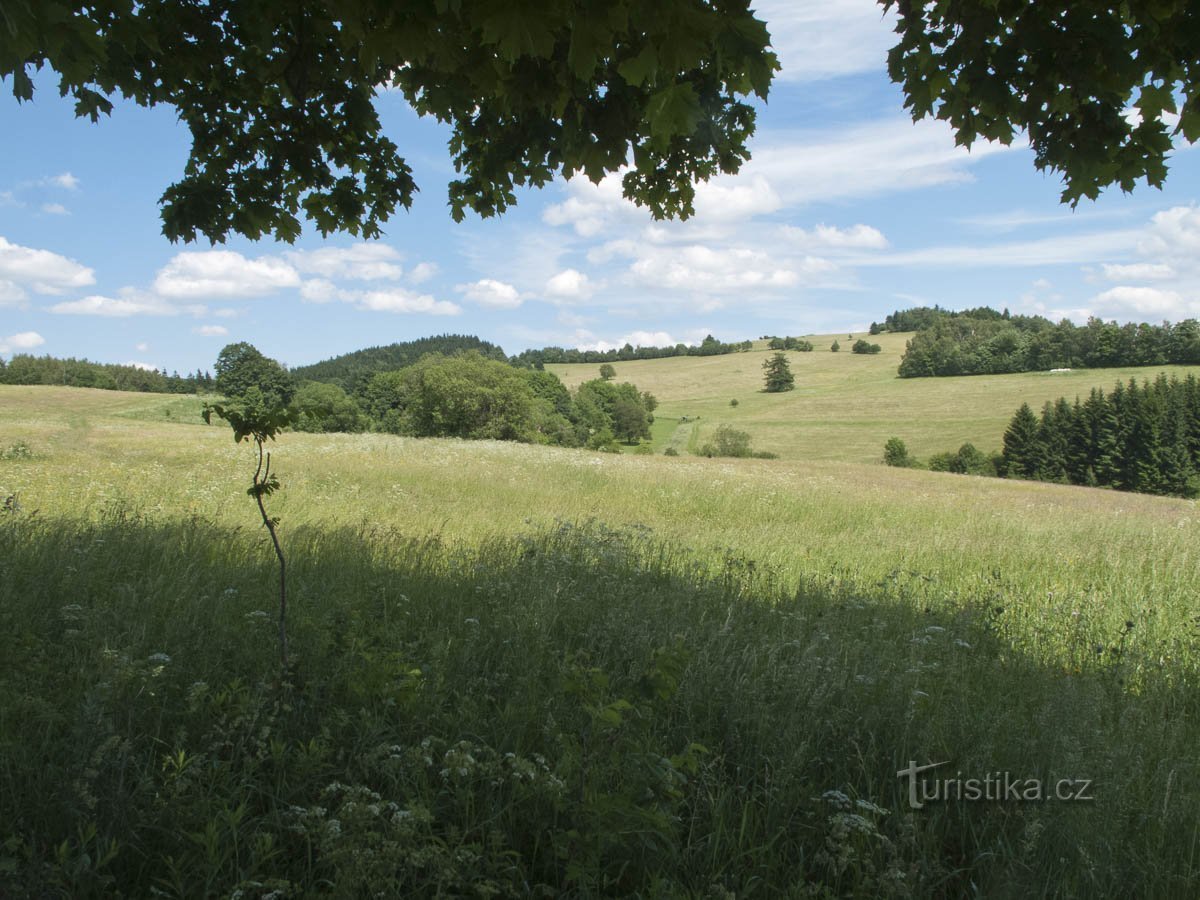 Sous Holý vrch près de Kronfelzov