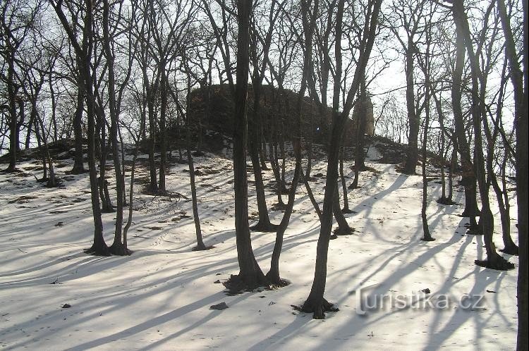 под замком: Опарно